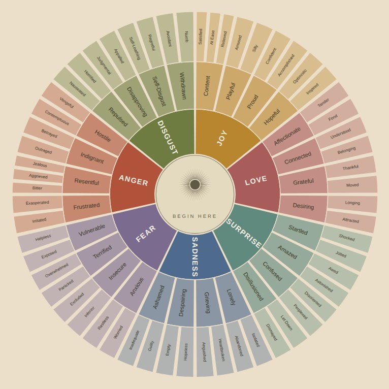 The feelings wheel: seven colors in the center, each opening into more exact words toward the edge.
